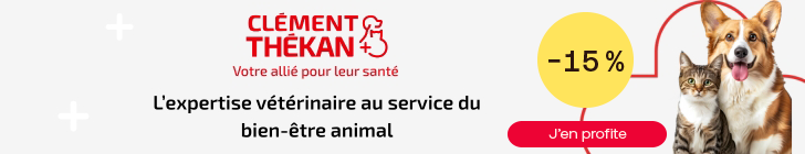 Logo Cl&eacute;ment Th&eacute;kan avec le slogan &laquo; Votre alli&eacute; pour leur sant&eacute; &raquo;. Texte : &laquo; L&rsquo;expertise v&eacute;t&eacute;rinaire au service du bien-&ecirc;tre animal &raquo;. Un chat et un chien c&ocirc;te &agrave; c&ocirc;te. Cercle jaune indiquant &laquo; -15 % &raquo;. Bouton rouge avec la mention &laquo; J&rsquo;en profite &raquo;.