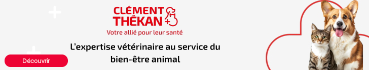 Logo Cl&eacute;ment Th&eacute;kan avec le slogan &laquo; Votre alli&eacute; pour leur sant&eacute; &raquo;. Texte : &laquo; L&rsquo;expertise v&eacute;t&eacute;rinaire au service du bien-&ecirc;tre animal &raquo;. Un chat et un chien c&ocirc;te &agrave; c&ocirc;te. Cercle jaune indiquant &laquo; -15 % &raquo;. Bouton rouge avec la mention &laquo; J&rsquo;en profite &raquo;.